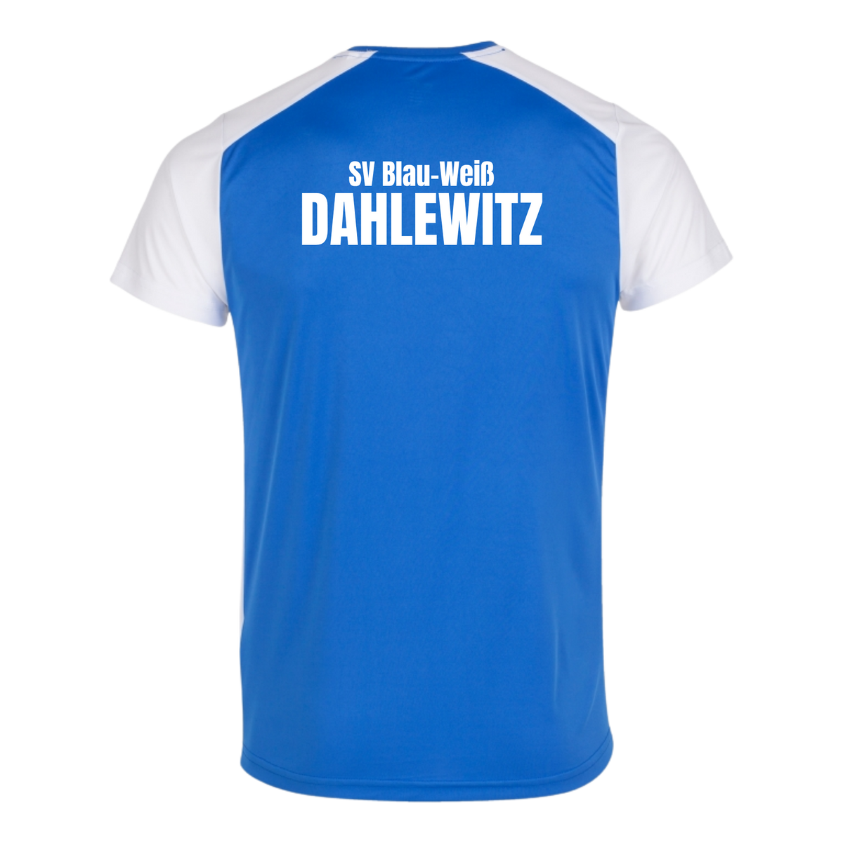JOMA Record II Kurzarmshirt des SV Blau-Weiß Dahlewitz